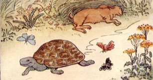 image of tortoise and hare