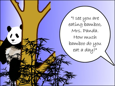 sample panda interview page