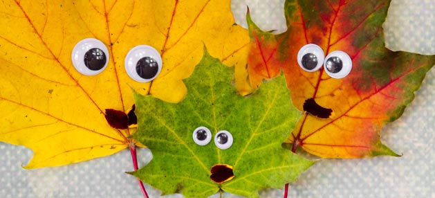 image of leaves with eyes